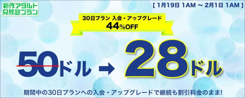 新作アダルト見放題プラン 15日／30日コース割引