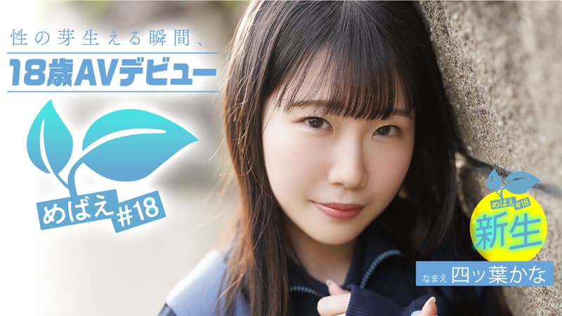アイキャッチ四ッ葉かな